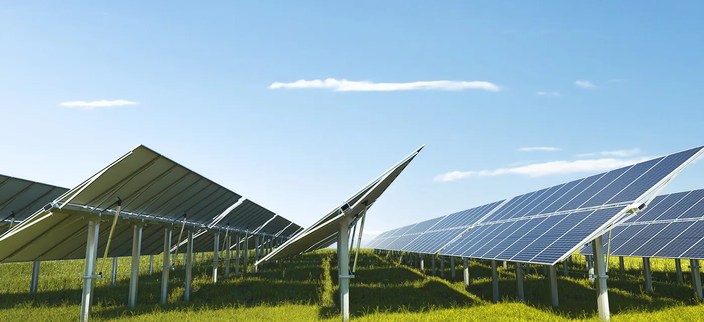 New Zealand's Largest Solar Farm Energised: Tauhei Reaches 202 MWp